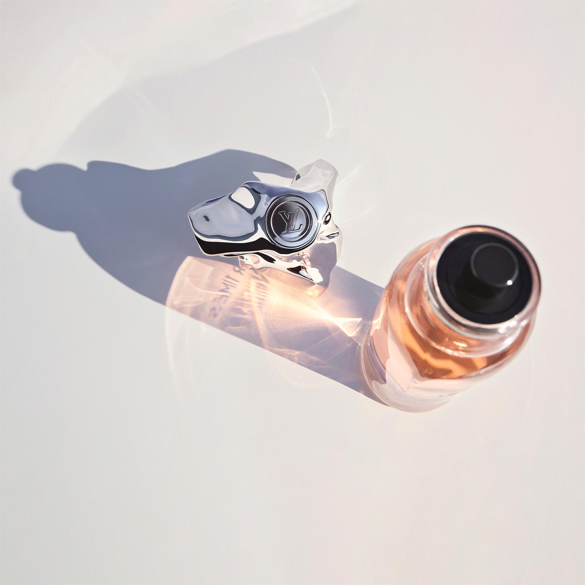  뛰어난 창작물 레 젝스트레 콜렉시옹 코스믹 클라우드 (Cosmic Cloud) | 루이비통 공식 온라인 스토어® (크게 보기)