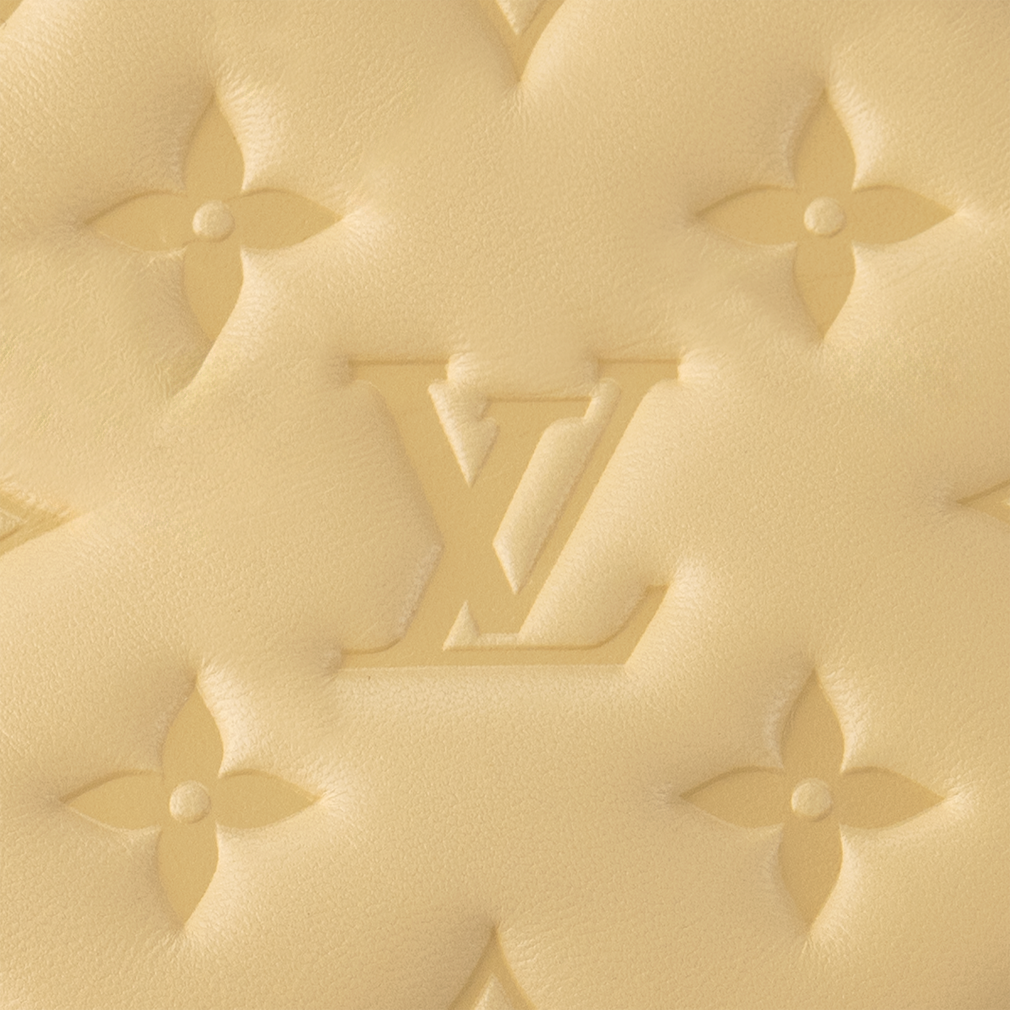 쿠상 여성 가방 LV 아이콘 Coussin PM | 루이비통 공식 온라인 스토어® (크게 보기)