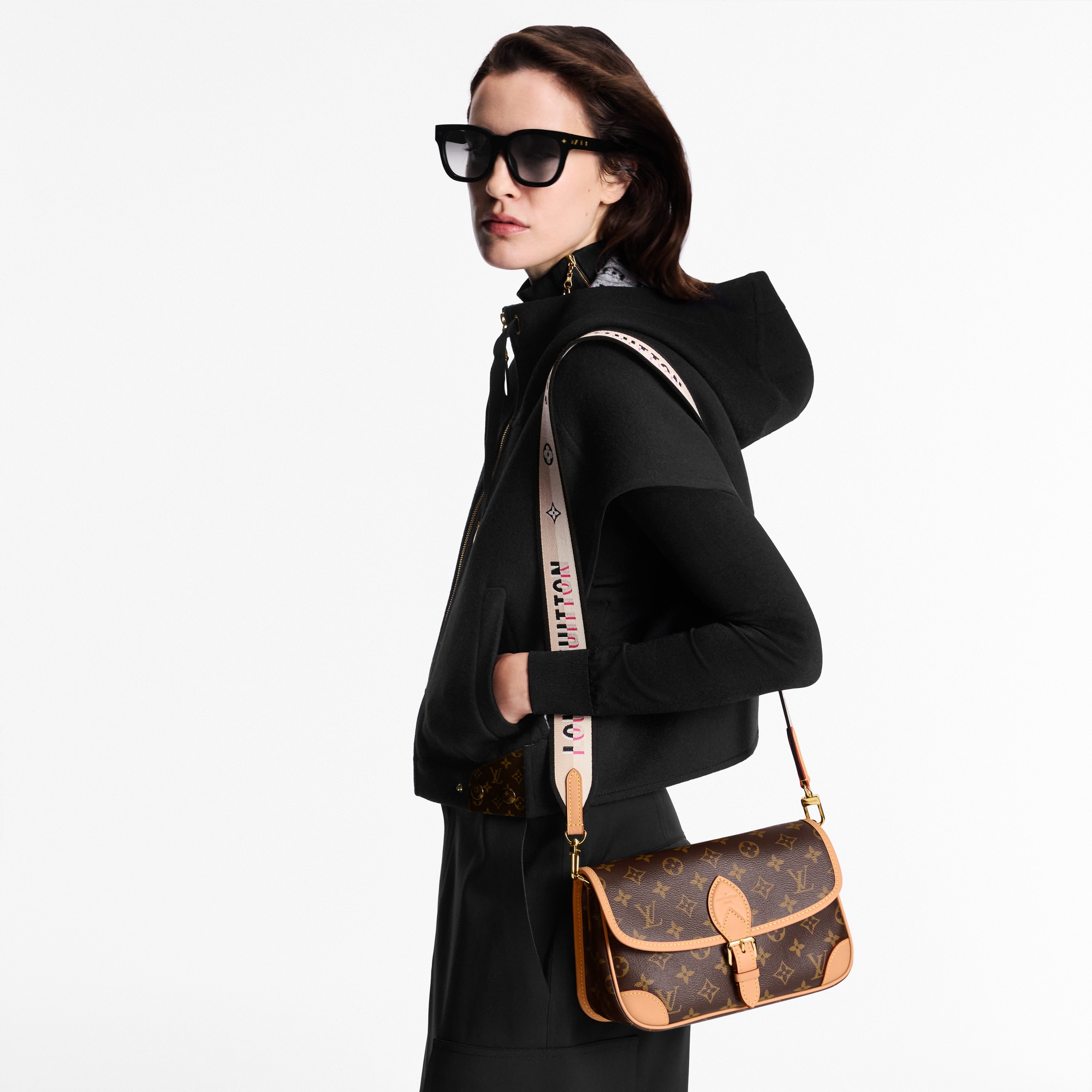 모노그램 핸드백 핸드백 전체 보기 다이앤 | 루이비통 공식 온라인 스토어® (크게 보기)