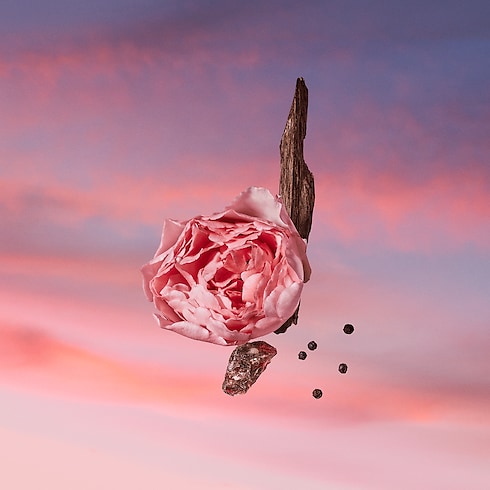 컬렉션 남성 향수 레 사블르 로즈 (Les Sables Roses) | 루이비통 공식 온라인 스토어® (크게 보기)