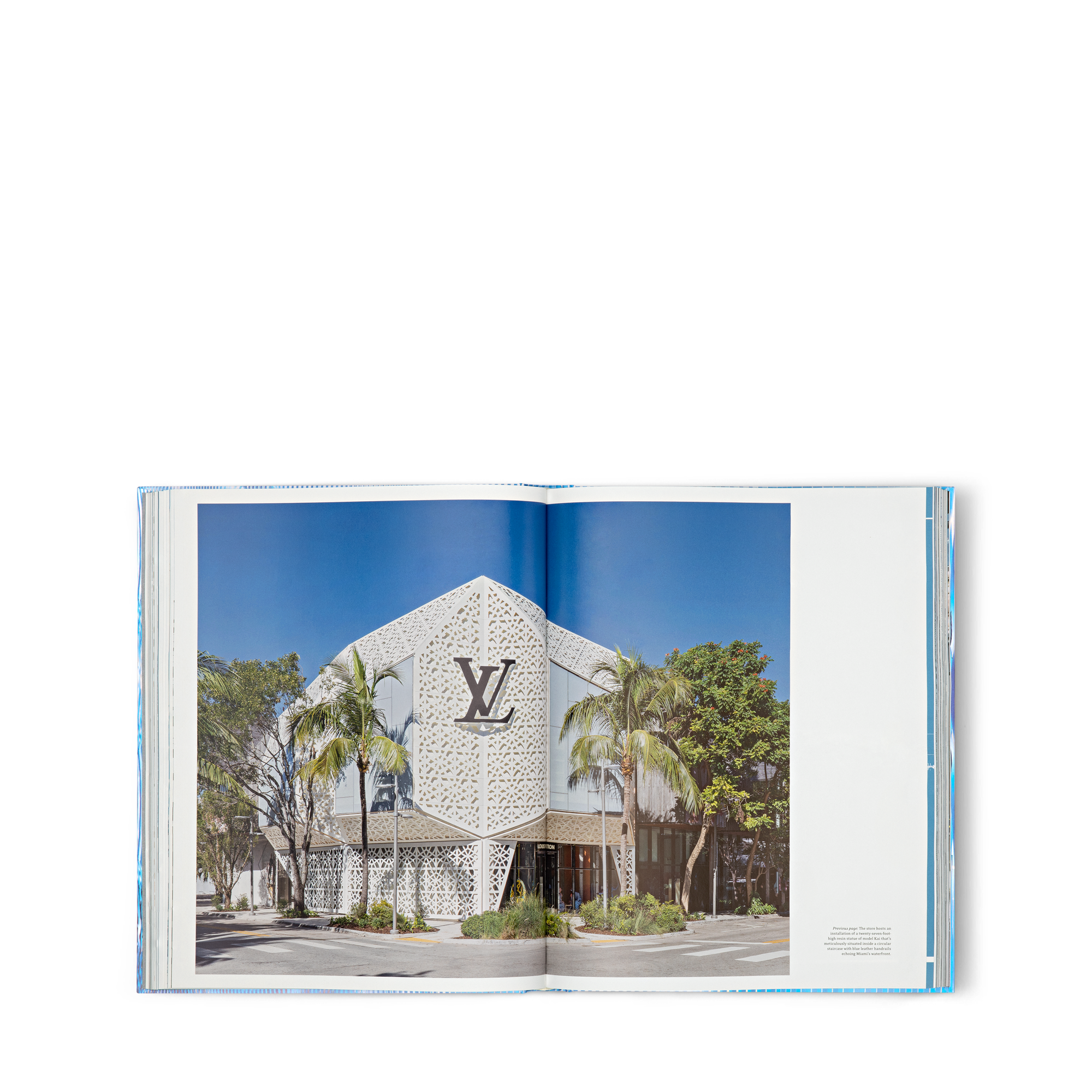 북 & 오피스 액세서리 하드 커버 북 루이 비통 스킨: 아키텍처 오브 럭셔리 파리 - 영어판 | 루이비통 공식 온라인 스토어® (크게 보기)