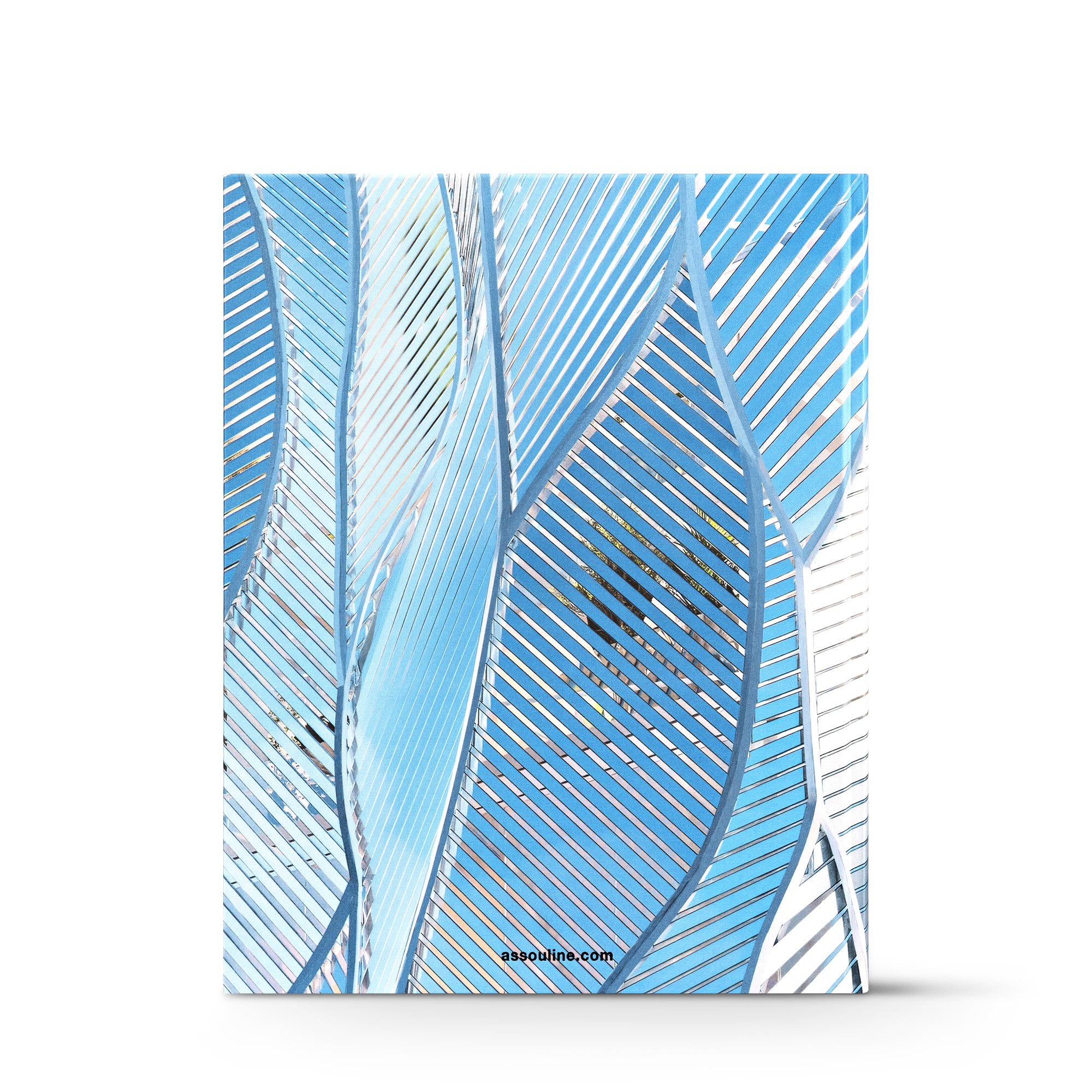  북 & 오피스 액세서리 하드 커버 북 루이 비통 스킨: 아키텍처 오브 럭셔리 베이징 | 루이비통 공식 온라인 스토어® (크게 보기)