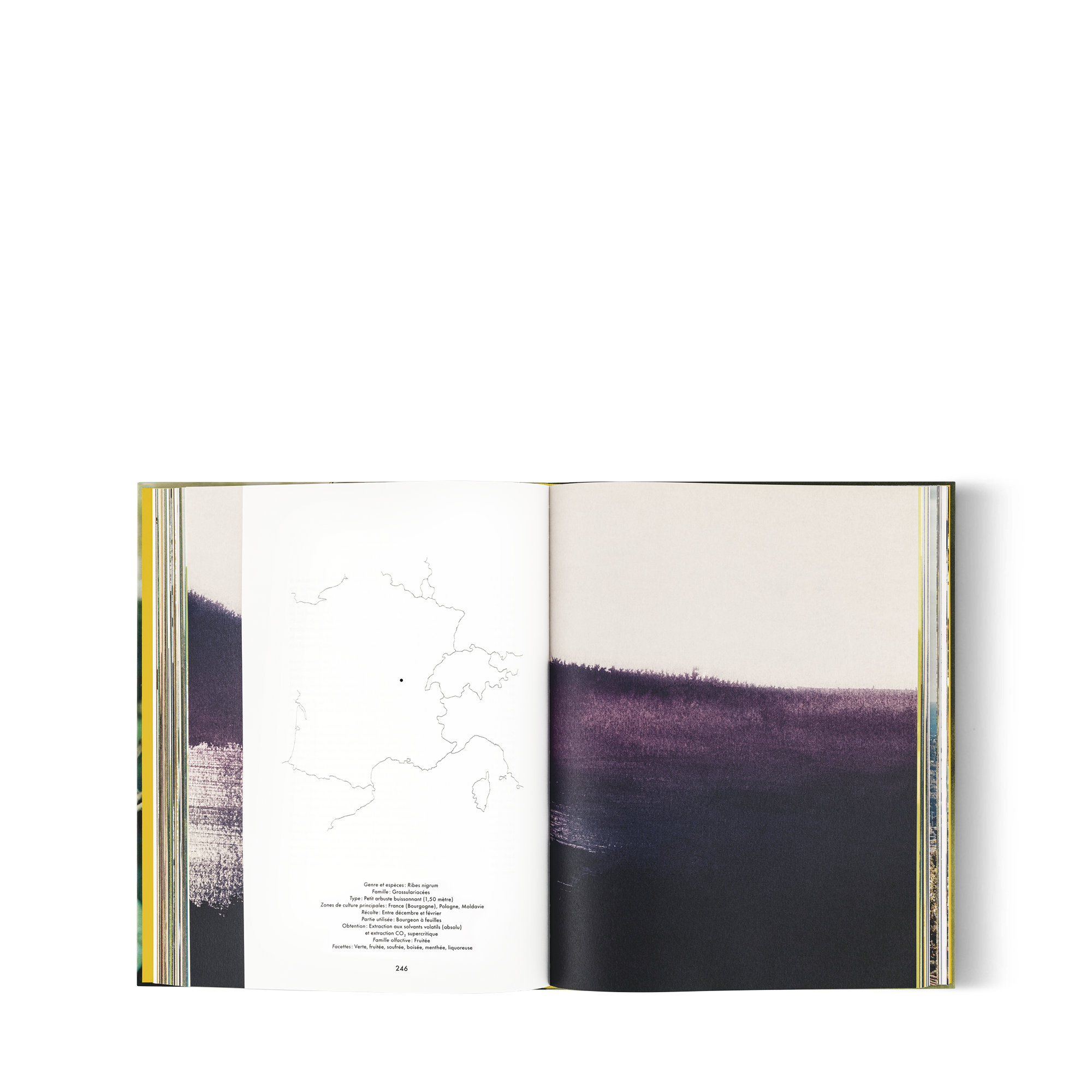  북 & 오피스 액세서리 하드 커버 북 루이 비통: 어 퍼퓸 아틀라스, 프랑스어판 | 루이비통 공식 온라인 스토어® (크게 보기)