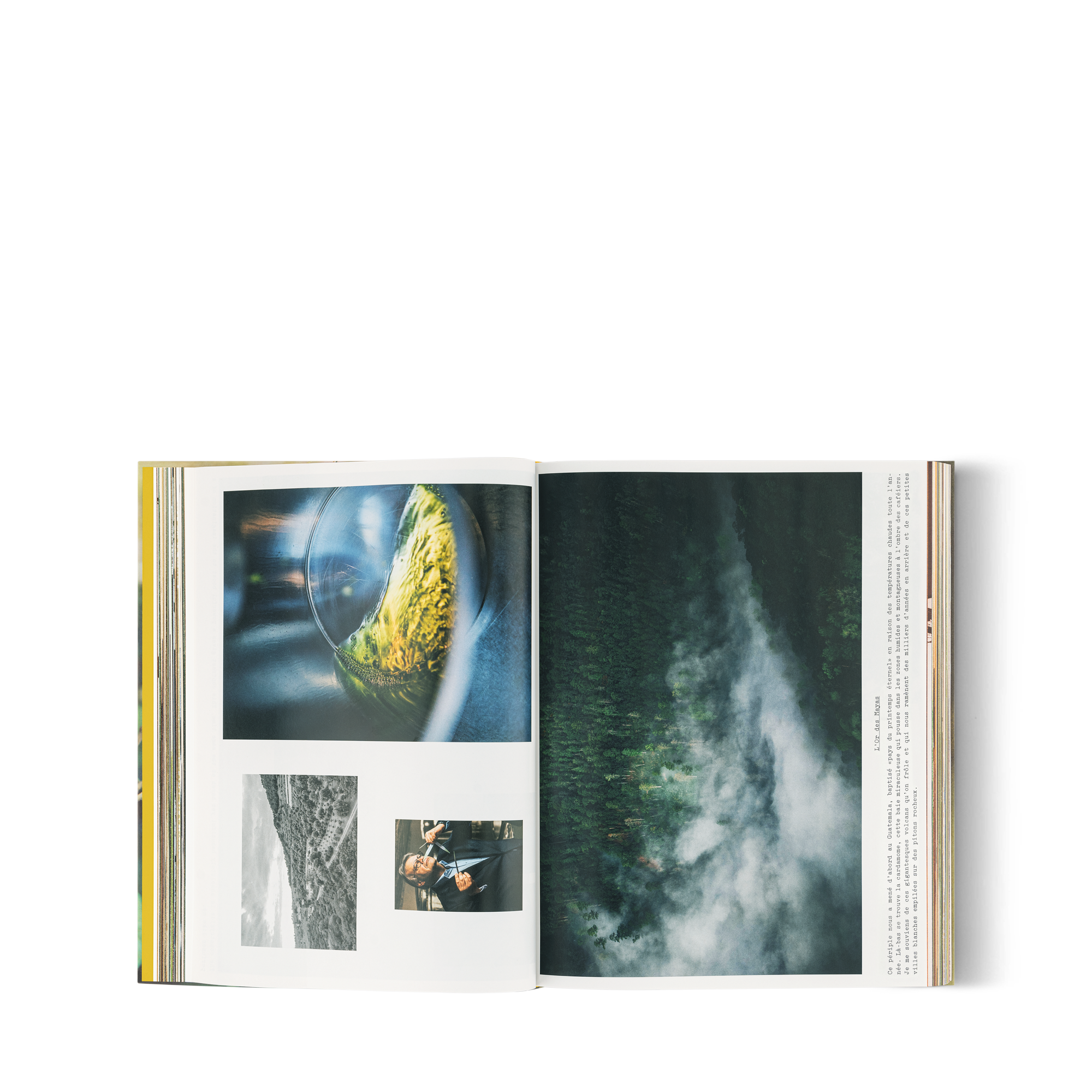  북 & 오피스 액세서리 하드 커버 북 루이 비통: 어 퍼퓸 아틀라스, 프랑스어판 | 루이비통 공식 온라인 스토어® (크게 보기)