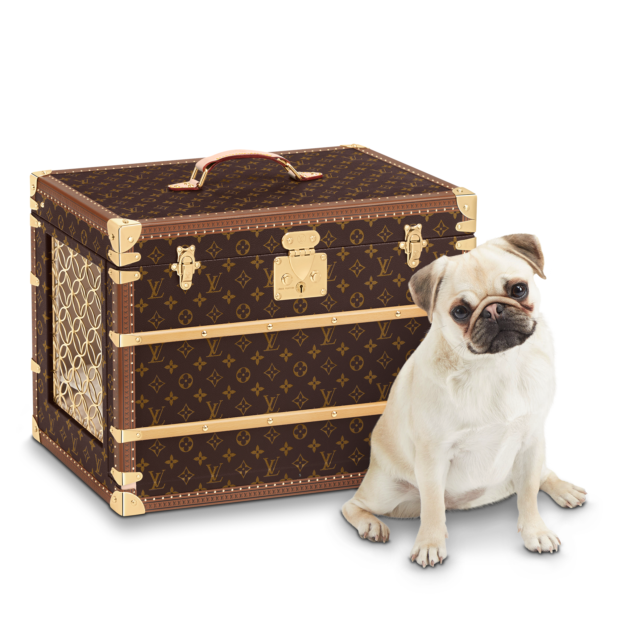 모노그램 트렁크 & 박스 트렁크 & 수트 케이스 도그 트렁크 | 루이비통 공식 온라인 스토어® (크게 보기)