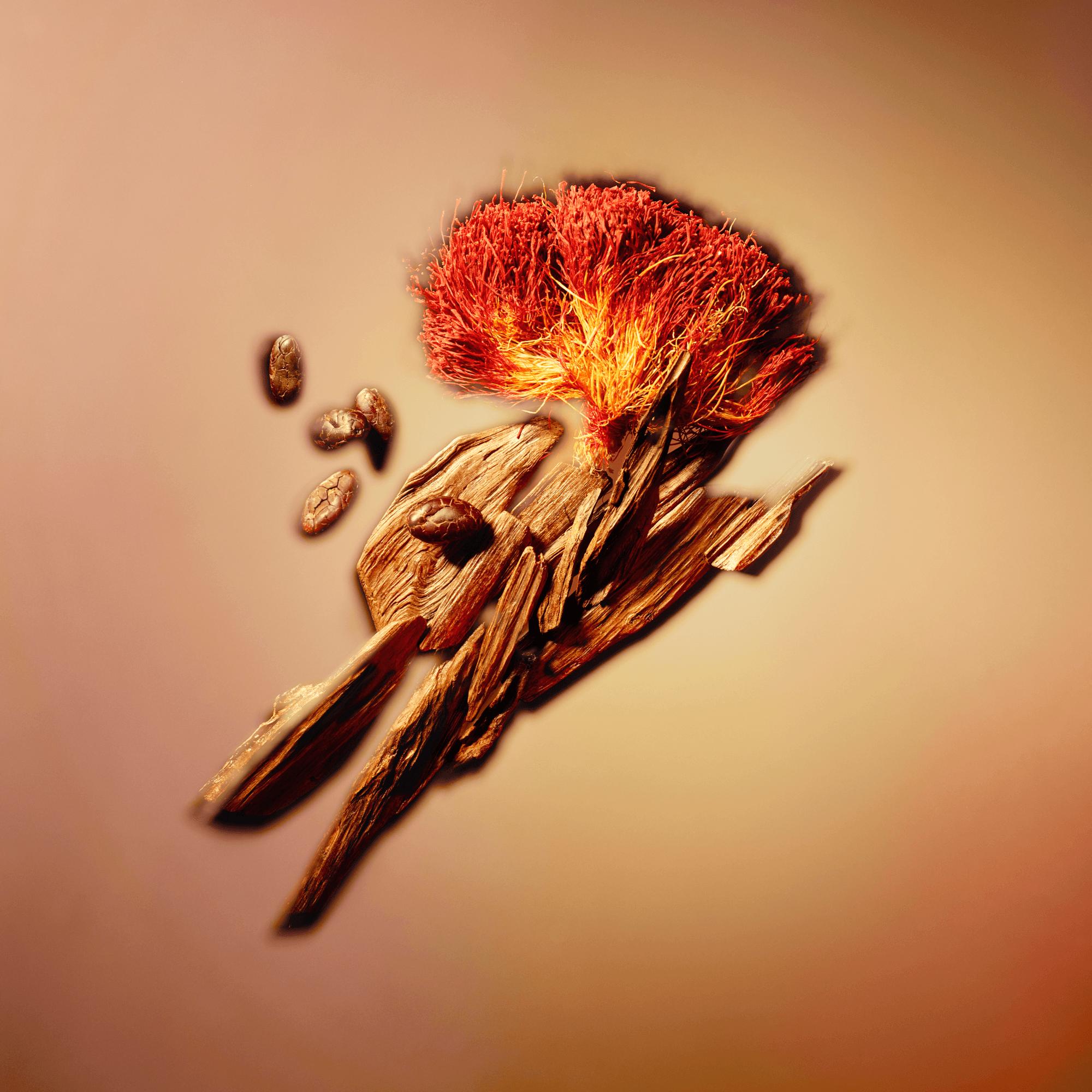  컬렉션 남성 향수 누보 몽드 (Nouveau Monde) | 루이비통 공식 온라인 스토어® (크게 보기)