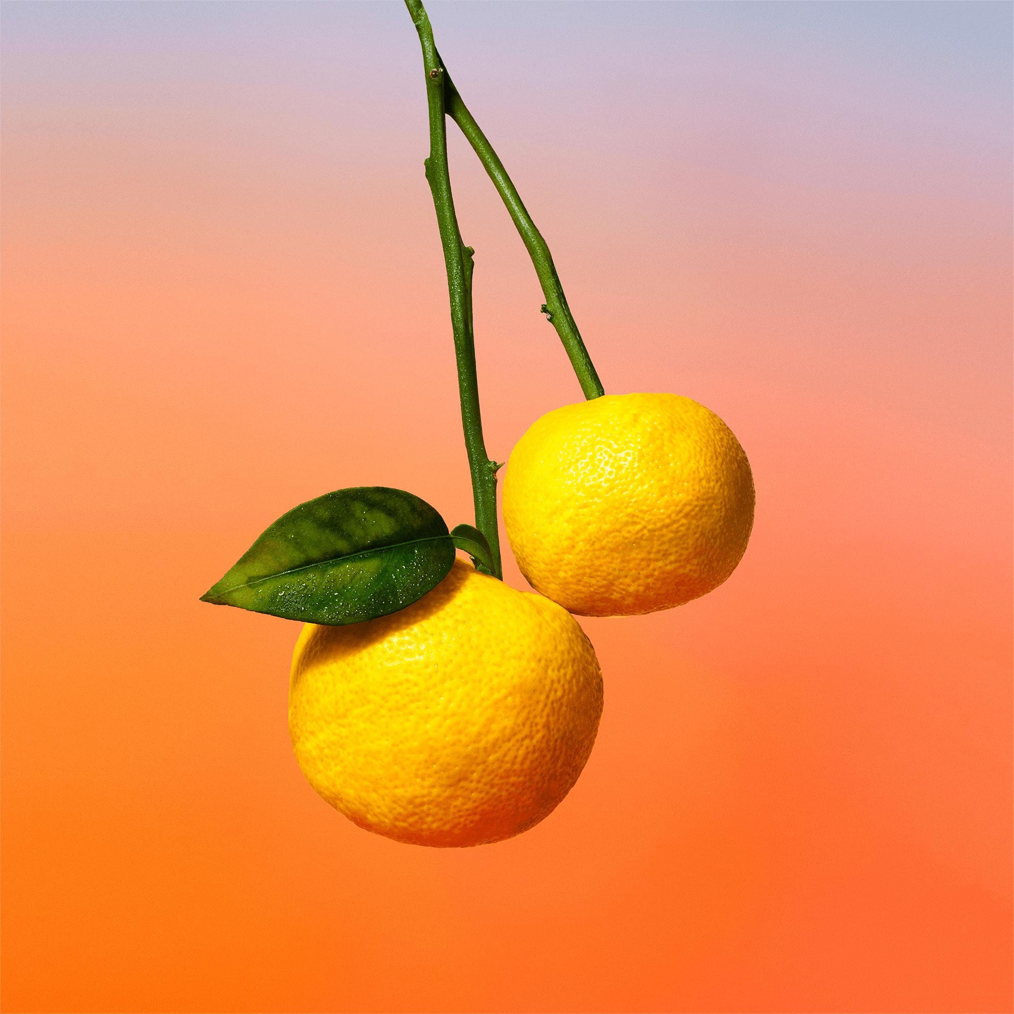  컬렉션 남성 향수 온 더 비치 (On the Beach) | 루이비통 공식 온라인 스토어® (크게 보기)