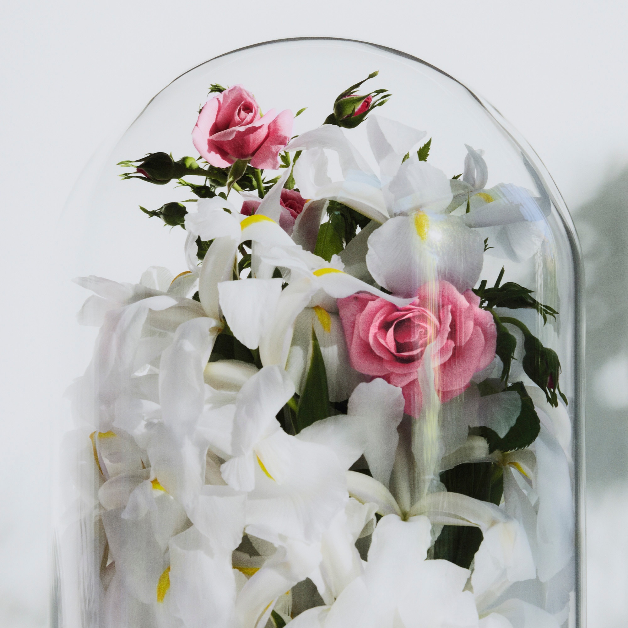  컬렉션 여성 향수 스펠 온 유 (Spell on You) | 루이비통 공식 온라인 스토어® (크게 보기)