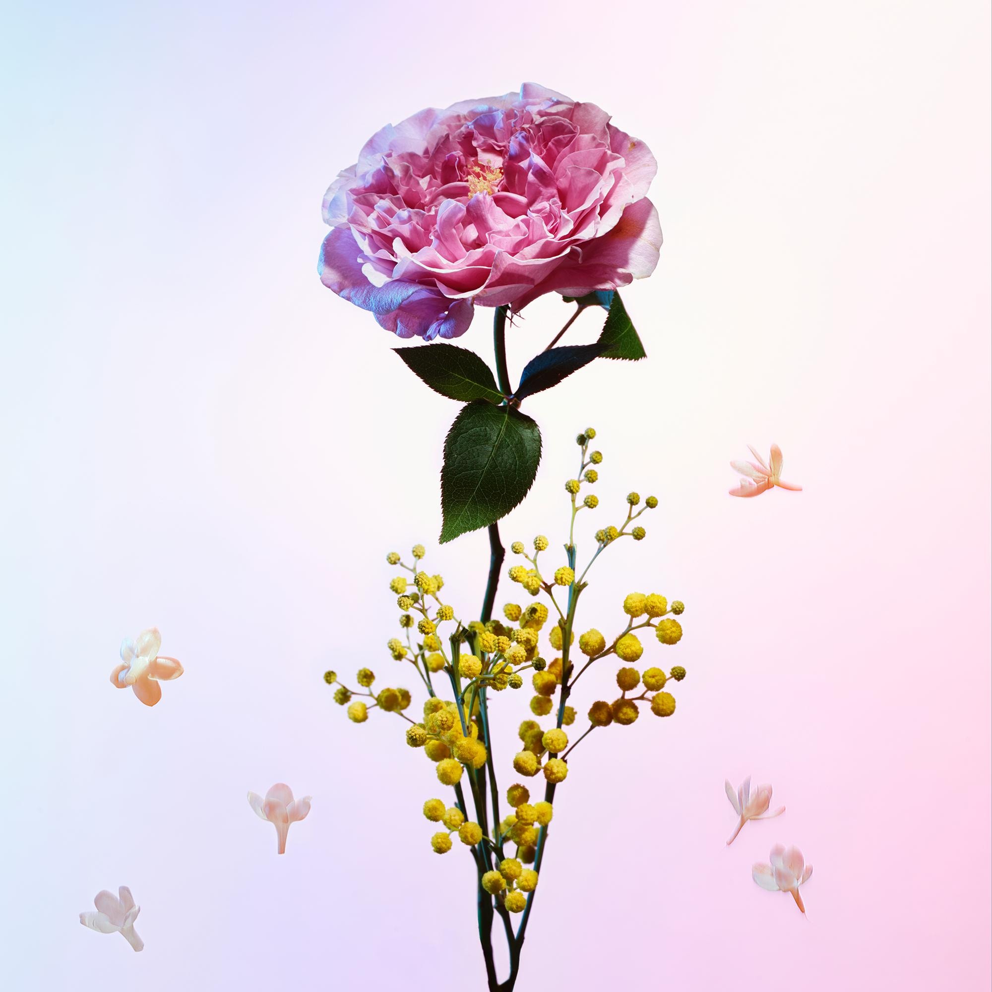  컬렉션 트래블 외흐 답상스 (Heures d