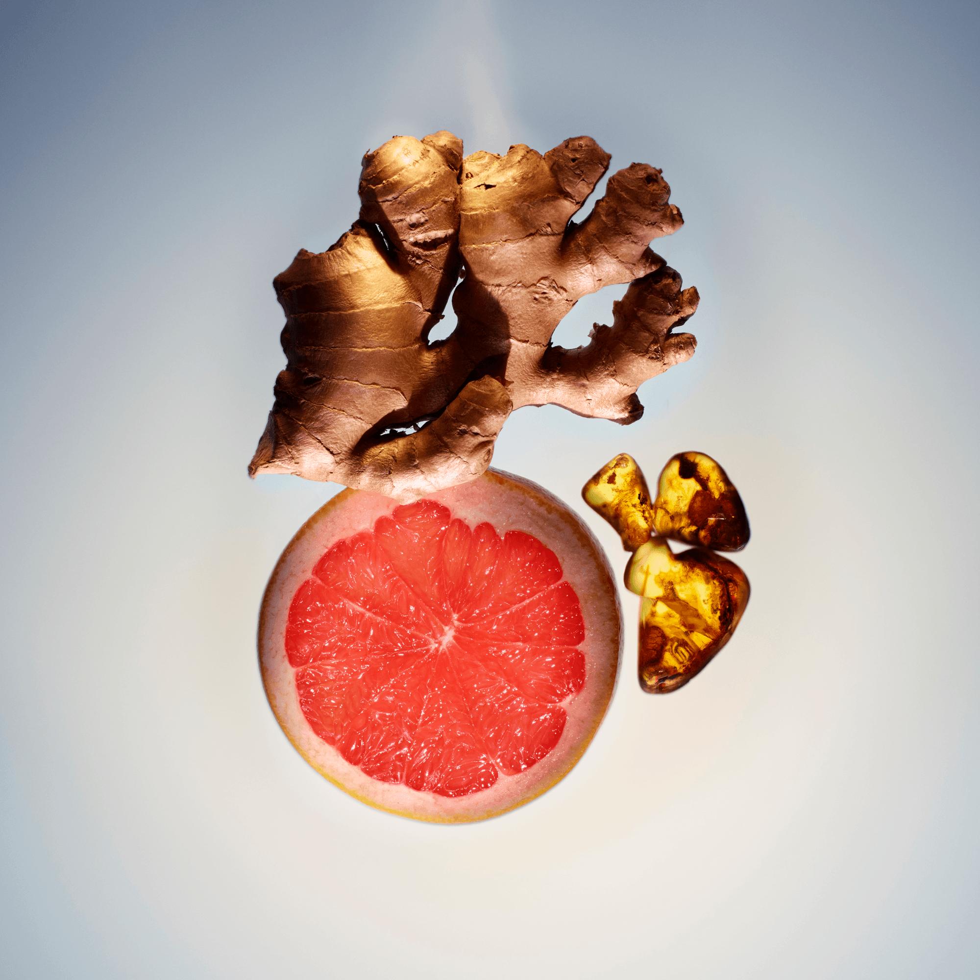  컬렉션 트래블 리멍시테 (L