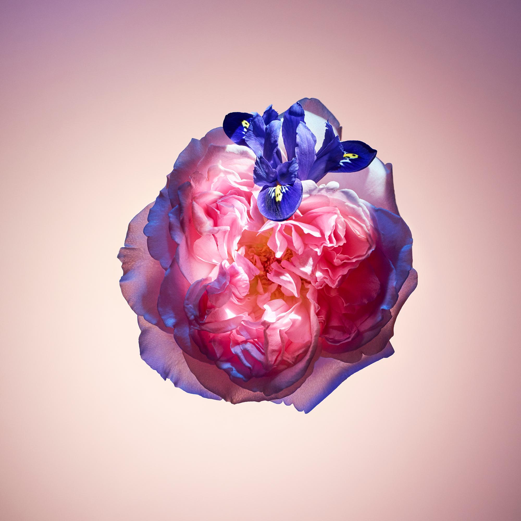  컬렉션 트래블 로즈 데 벙 (Rose des Vents) 휴대용 스프레이 | 루이비통 공식 온라인 스토어® (크게 보기)